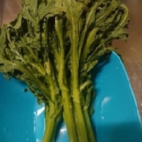 野菜 しなしな野菜が復活 春菊 レタスなど レシピ 作り方 By 愛愛さん 基本画像レシピ Instagramも同じ 楽天レシピ 野菜 しなしな野菜が復活 春菊 レタスなど レシピ 作り方 By 愛愛さん 基本画像レシピ Instagramも同じ 楽天レシピ